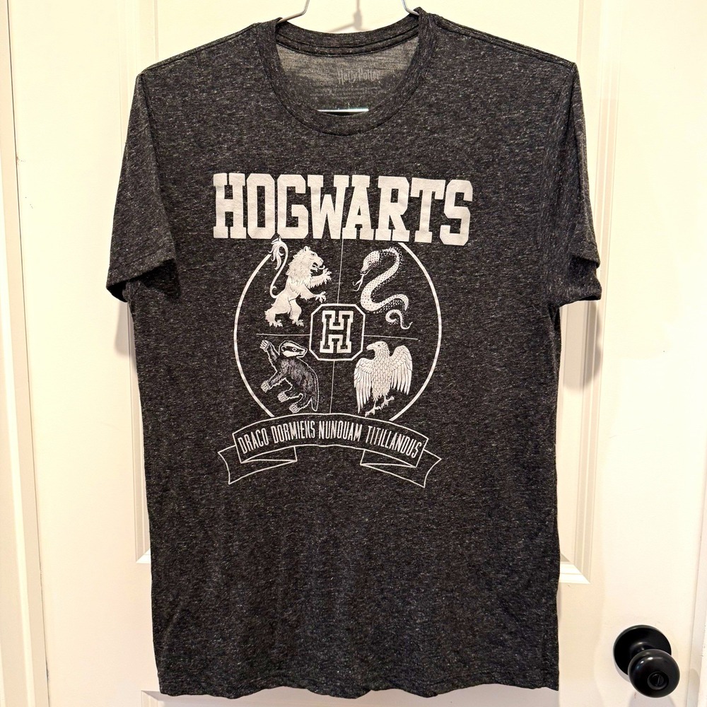 Harry Potter Hogwarts Graphic T-Shirt Mens L Dark Gray Heather Crew Neck Tee